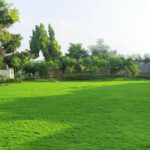 WhatsApp Image 2026-01-10 at 7.08.18 PM (1)