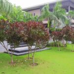 WhatsApp Image 2026-01-10 at 7.08.19 PM (1)