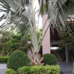 WhatsApp Image 2026-01-10 at 7.08.19 PM