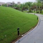 WhatsApp Image 2026-01-10 at 7.08.20 PM