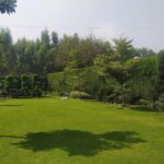 WhatsApp Image 2026-01-10 at 7.08.31 PM